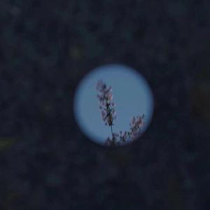 需求销售小鲤导航
