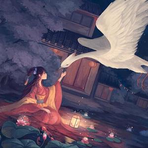 需求销售小鲤导航
