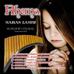 需求销售小鲤导航
